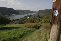 RömerWelt, Rheinbrohl