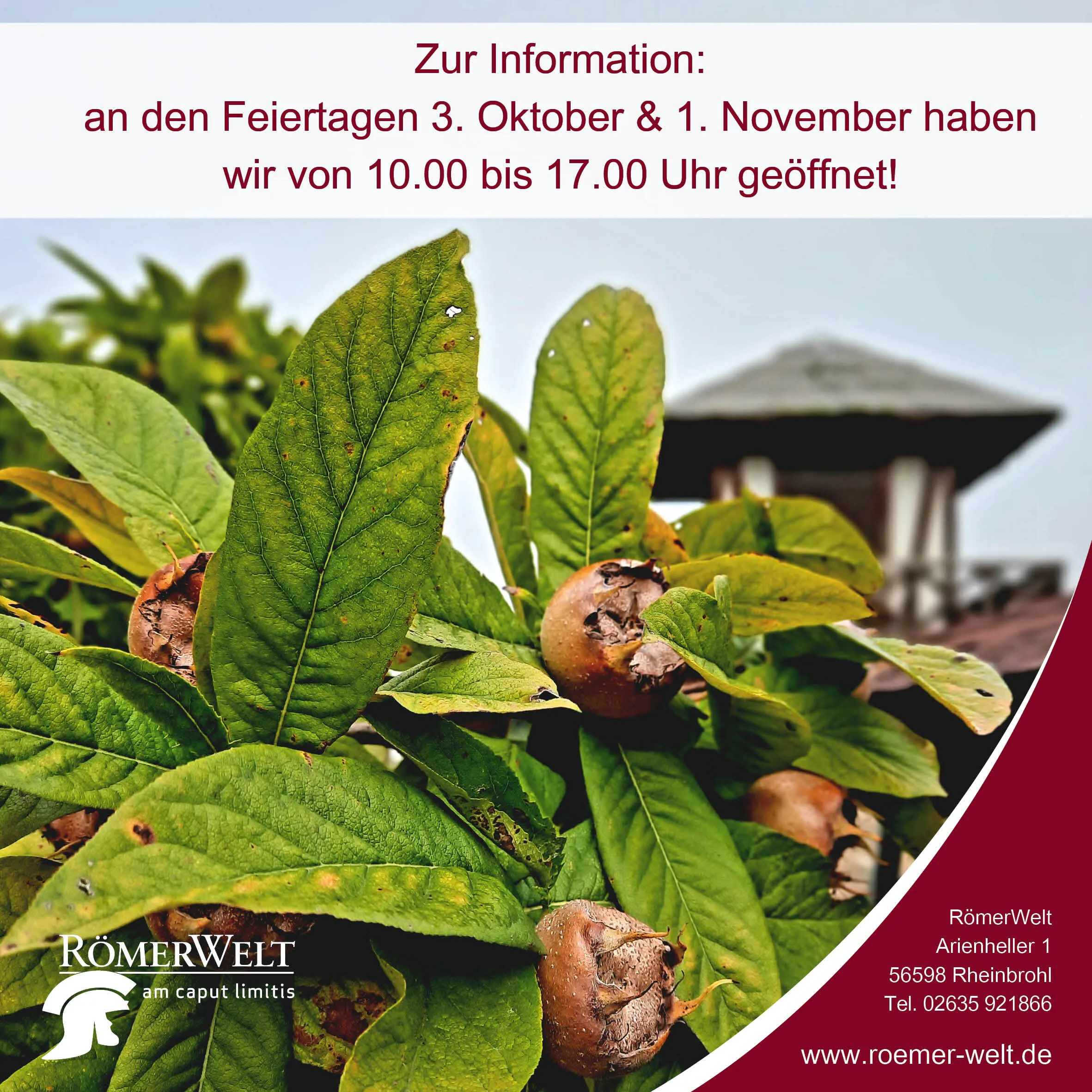 Roemer Welt